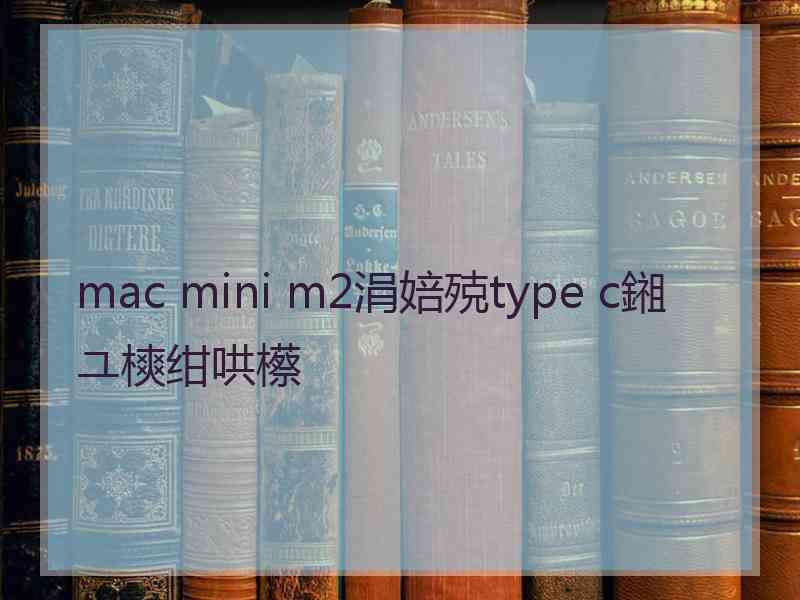 mac mini m2涓婄殑type c鎺ユ樉绀哄櫒