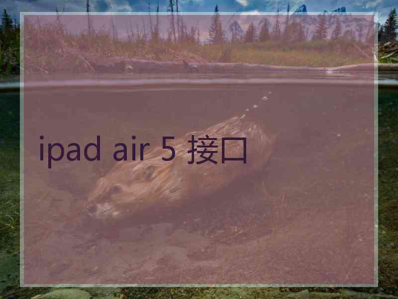 ipad air 5 接口