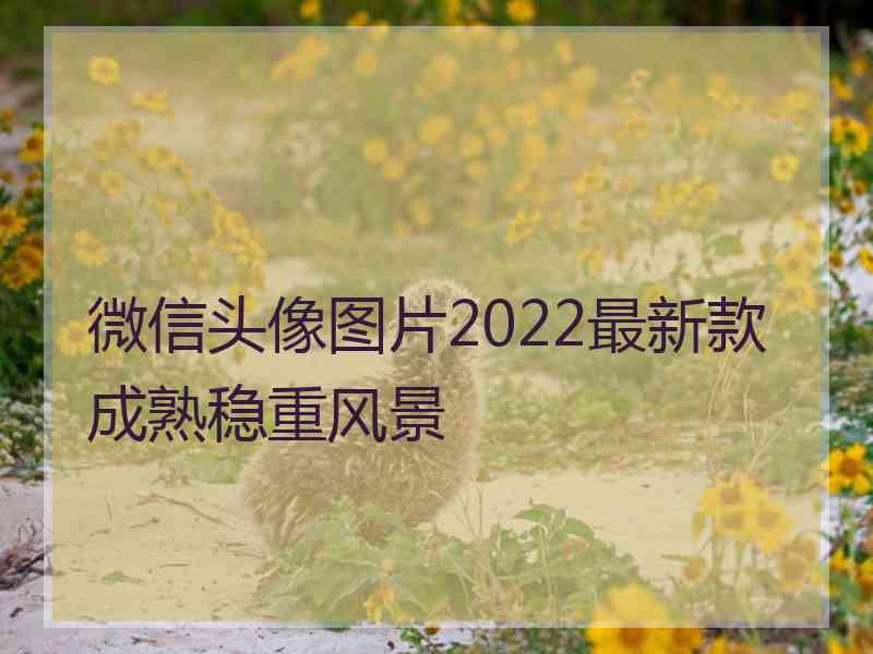 微信头像图片2022最新款成熟稳重风景