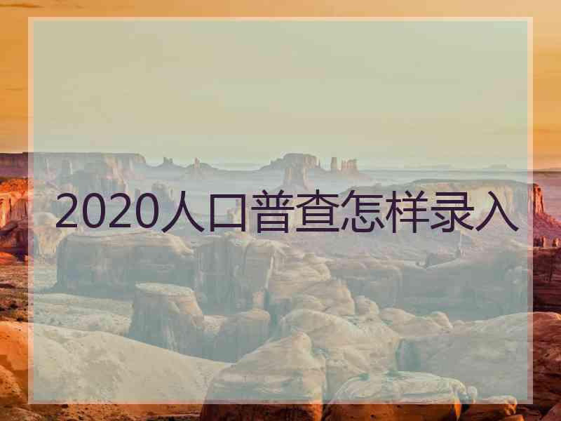 2020人口普查怎样录入