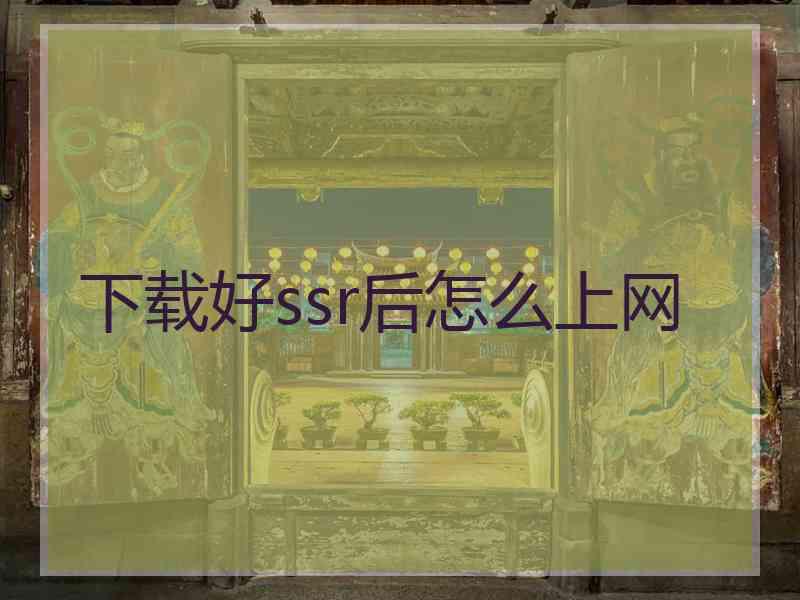 下载好ssr后怎么上网