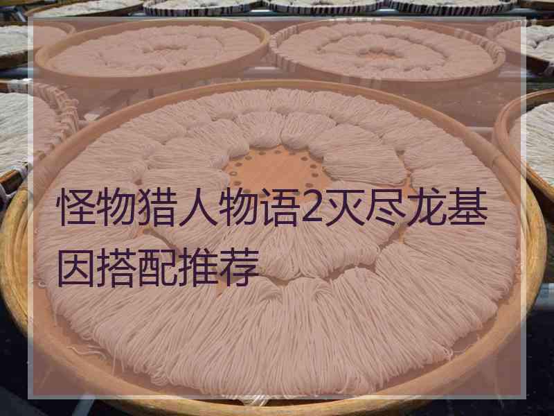 怪物猎人物语2灭尽龙基因搭配推荐