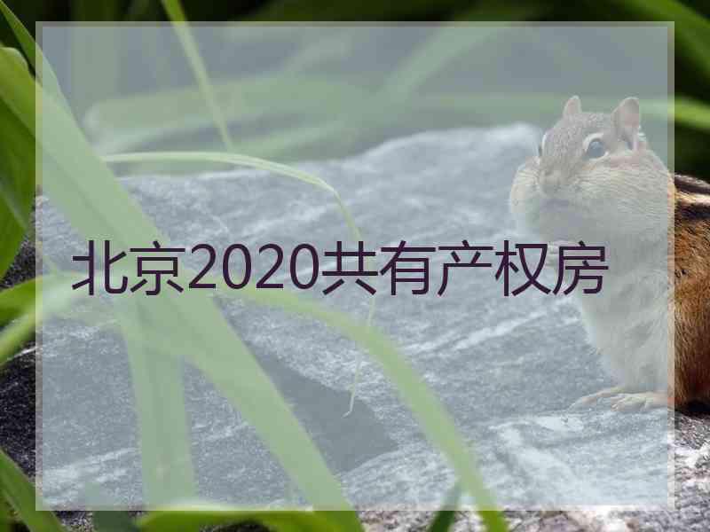 北京2020共有产权房