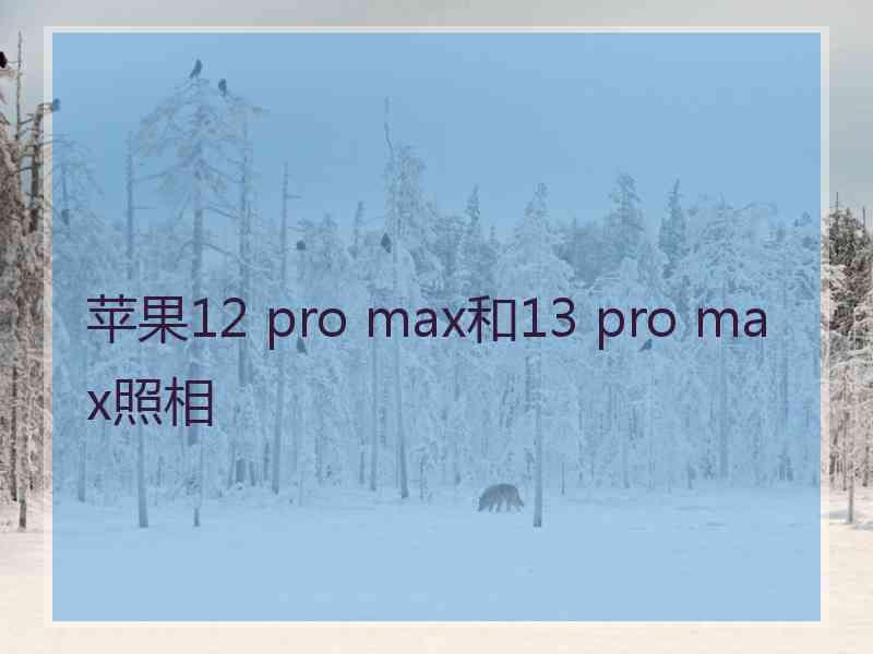 苹果12 pro max和13 pro max照相