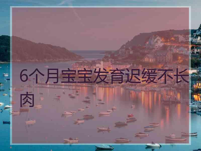 6个月宝宝发育迟缓不长肉