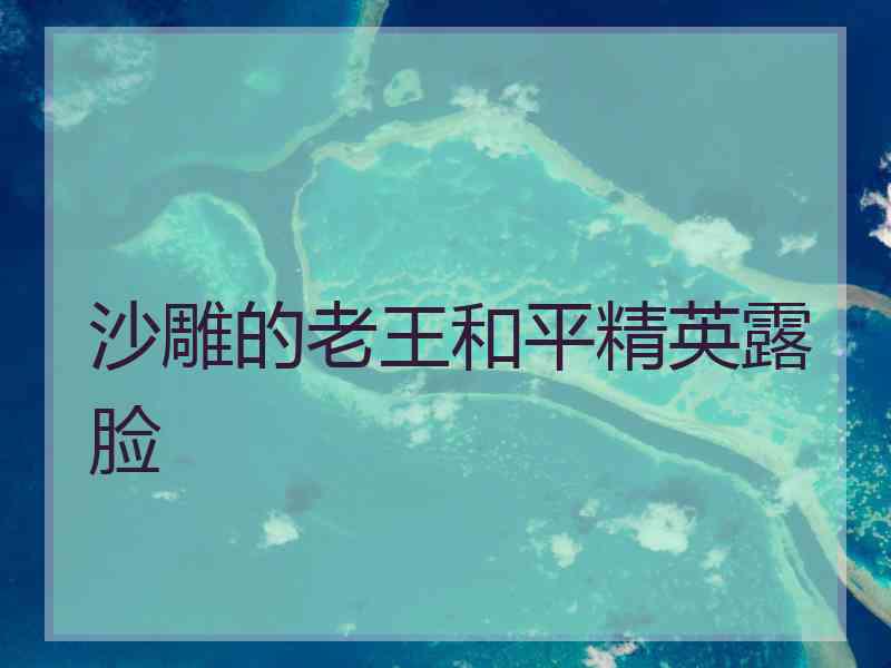 沙雕的老王和平精英露脸
