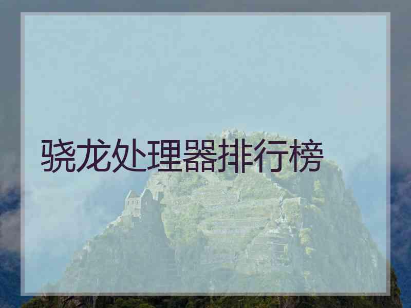 骁龙处理器排行榜