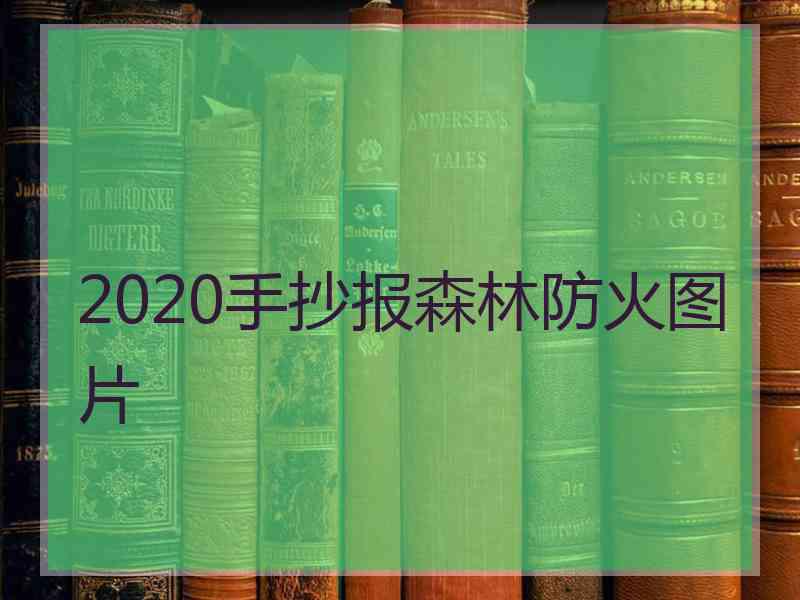 2020手抄报森林防火图片