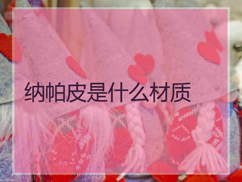 纳帕皮是什么材质
