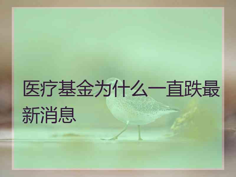 医疗基金为什么一直跌最新消息