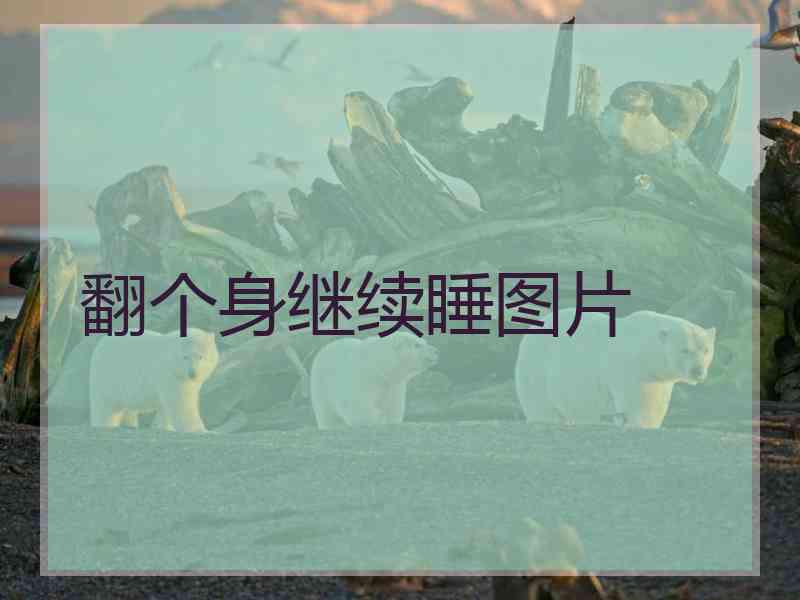 翻个身继续睡图片