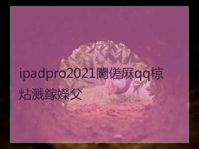 ipadpro2021閫傞厤qq椋炶溅鎵嬫父