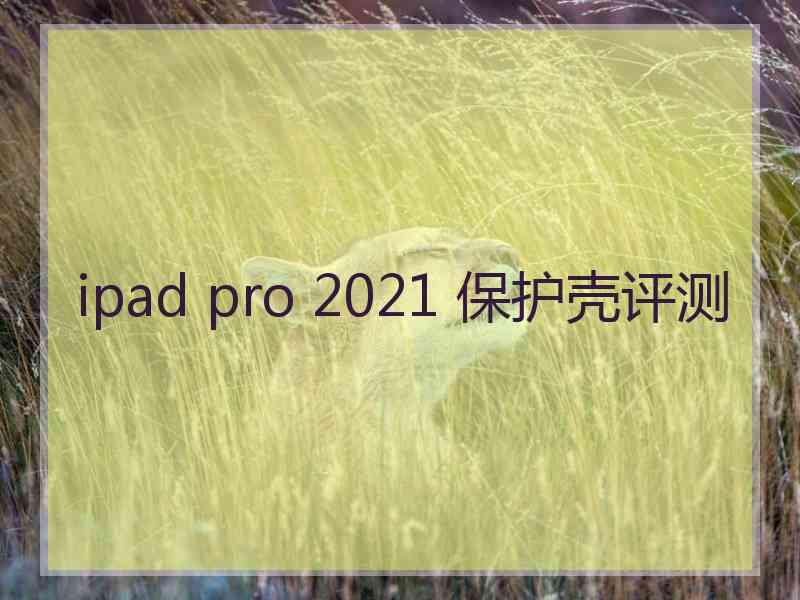 ipad pro 2021 保护壳评测