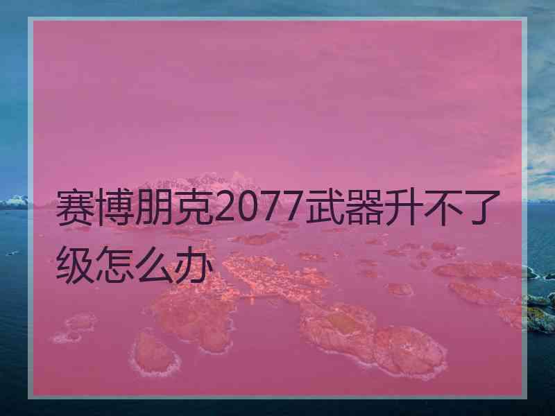赛博朋克2077武器升不了级怎么办