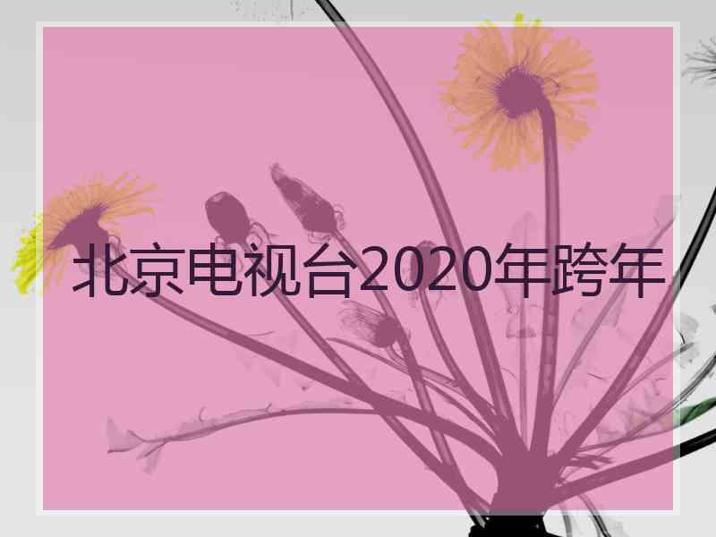 北京电视台2020年跨年