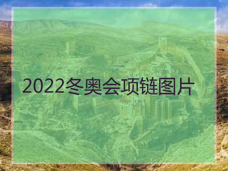 2022冬奥会项链图片