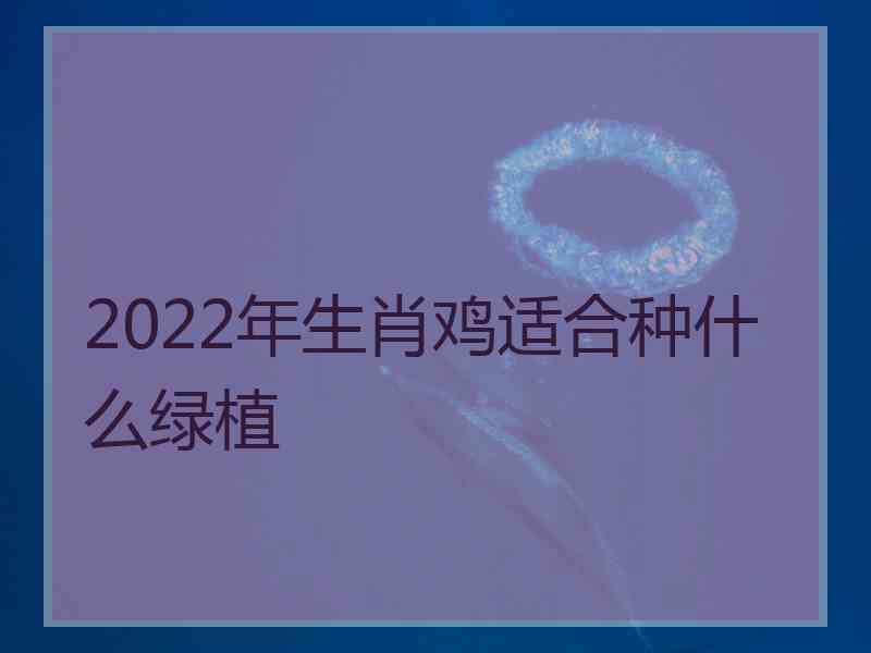 2022年生肖鸡适合种什么绿植