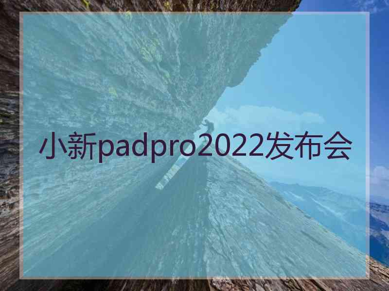 小新padpro2022发布会