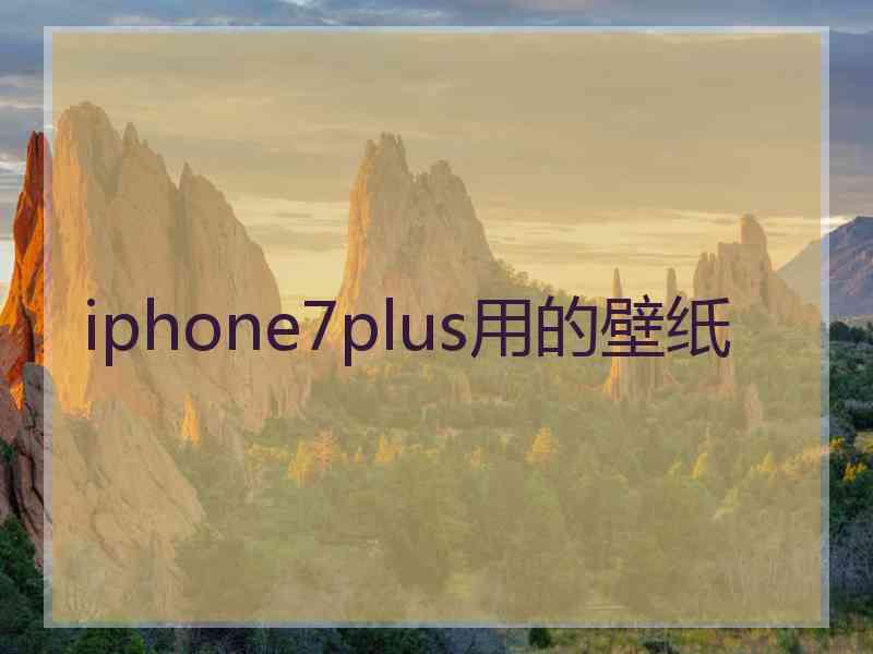 iphone7plus用的壁纸