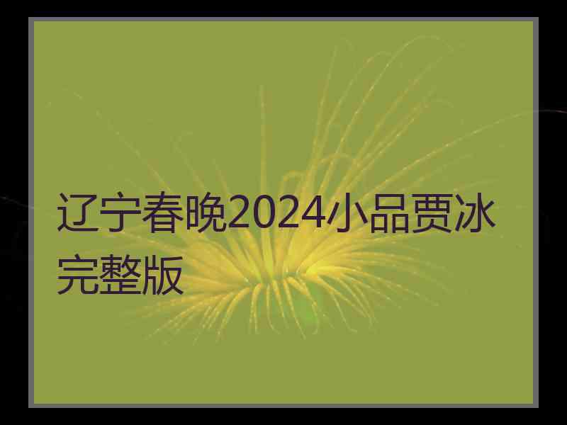 辽宁春晚2024小品贾冰完整版