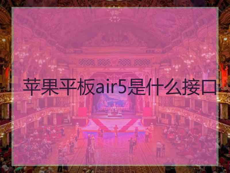 苹果平板air5是什么接口