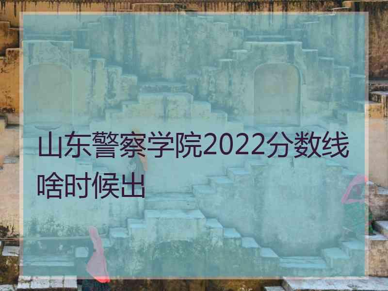 山东警察学院2022分数线啥时候出