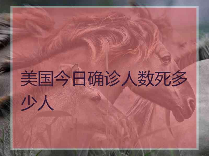 美国今日确诊人数死多少人