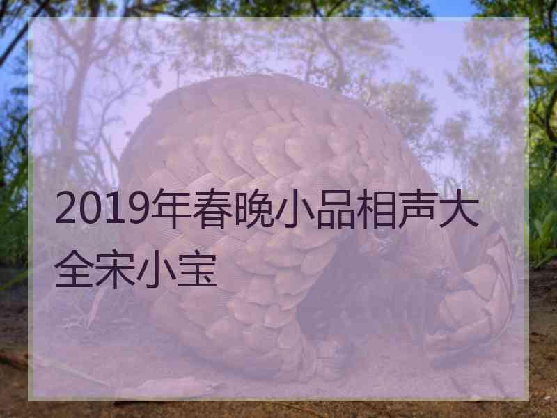 2019年春晚小品相声大全宋小宝
