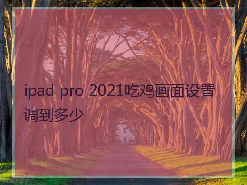 ipad pro 2021吃鸡画面设置调到多少