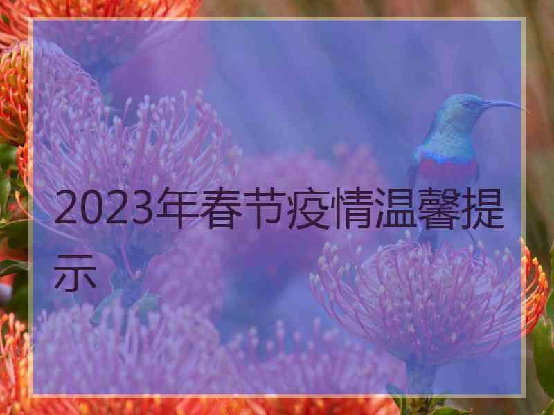 2023年春节疫情温馨提示