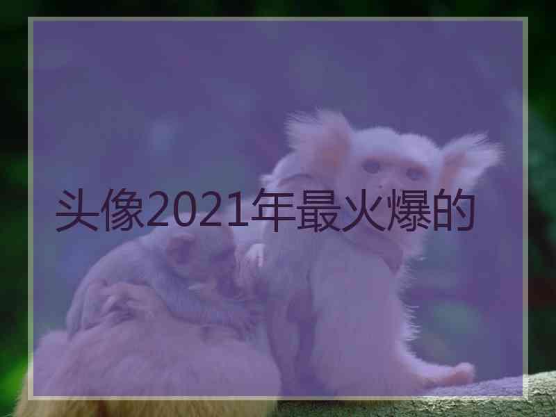 头像2021年最火爆的