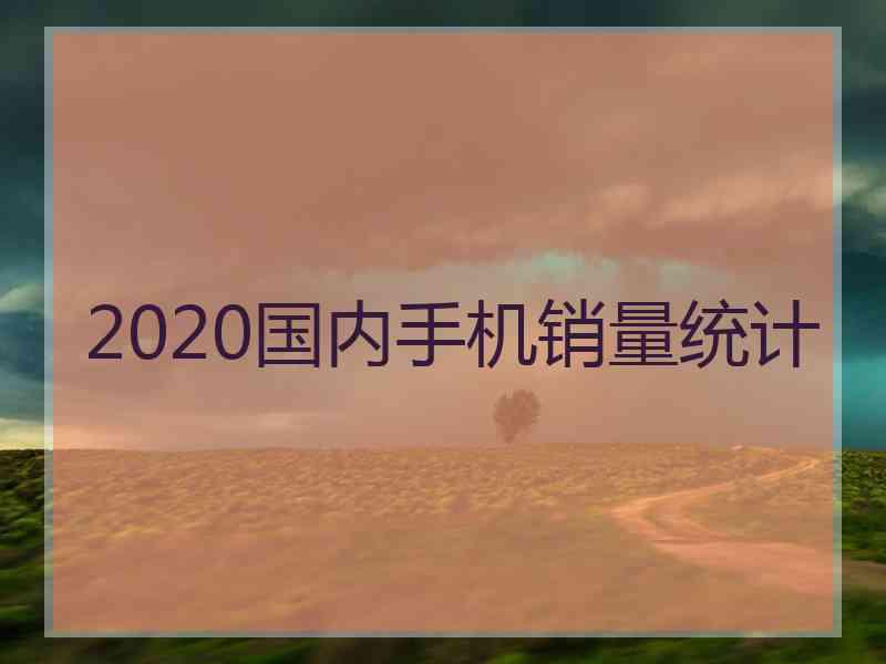 2020国内手机销量统计