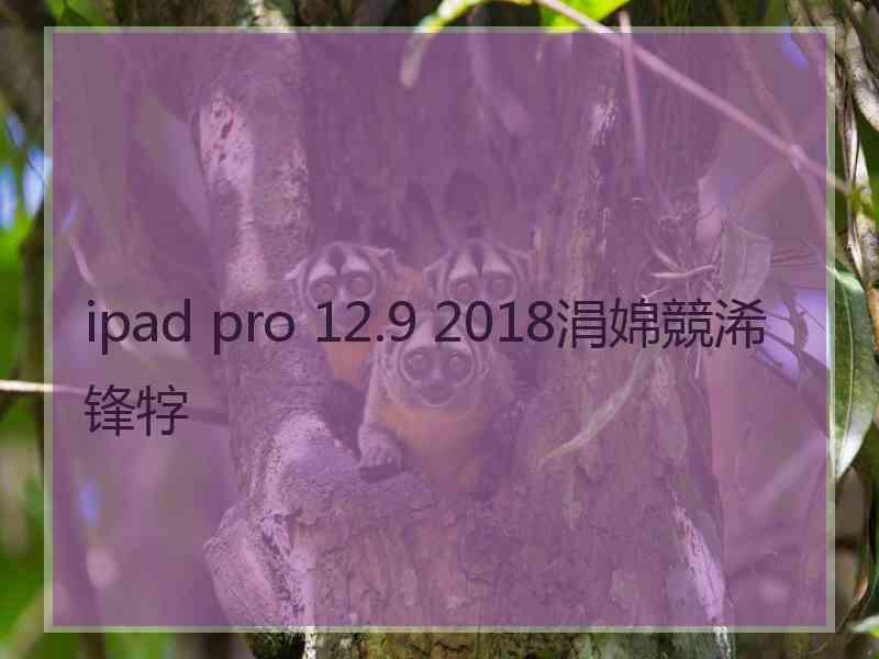ipad pro 12.9 2018涓婂競浠锋牸