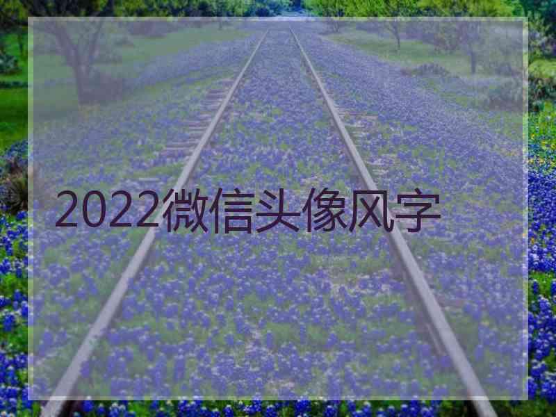2022微信头像风字