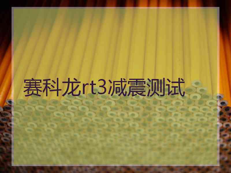 赛科龙rt3减震测试