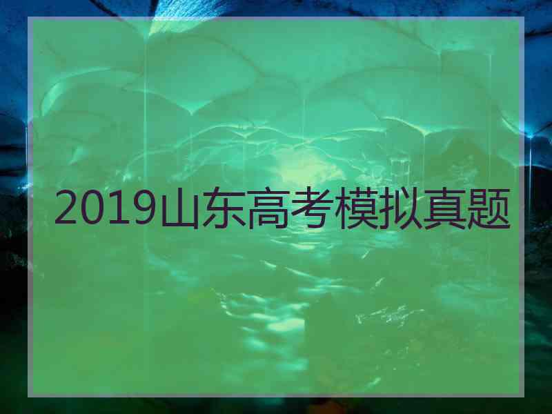 2019山东高考模拟真题