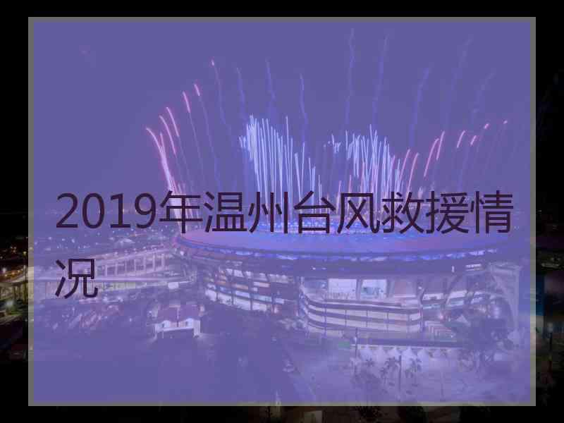 2019年温州台风救援情况
