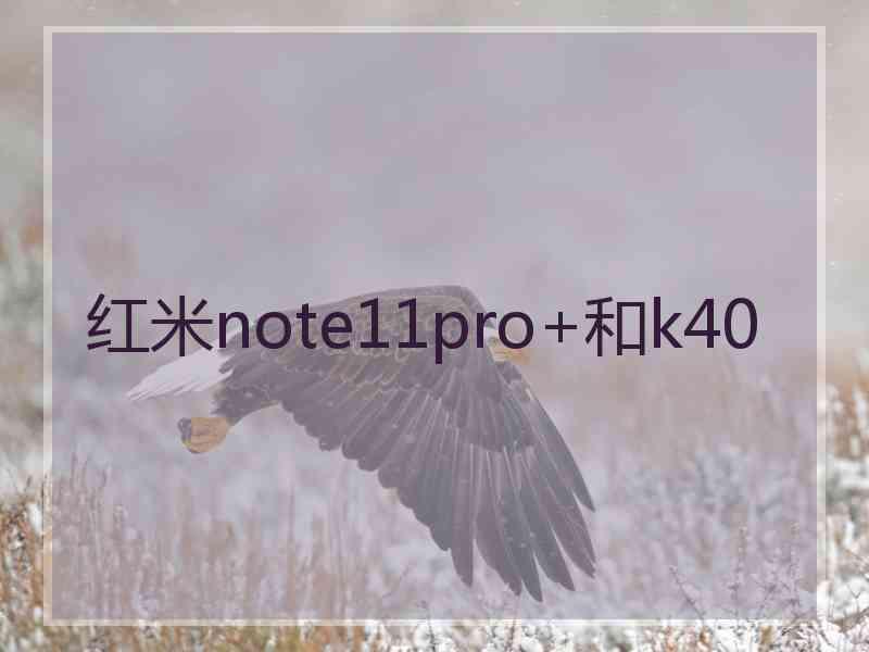 红米note11pro+和k40
