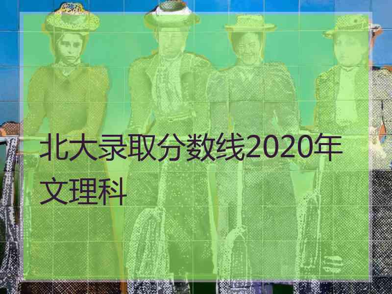 北大录取分数线2020年文理科