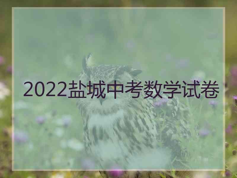 2022盐城中考数学试卷