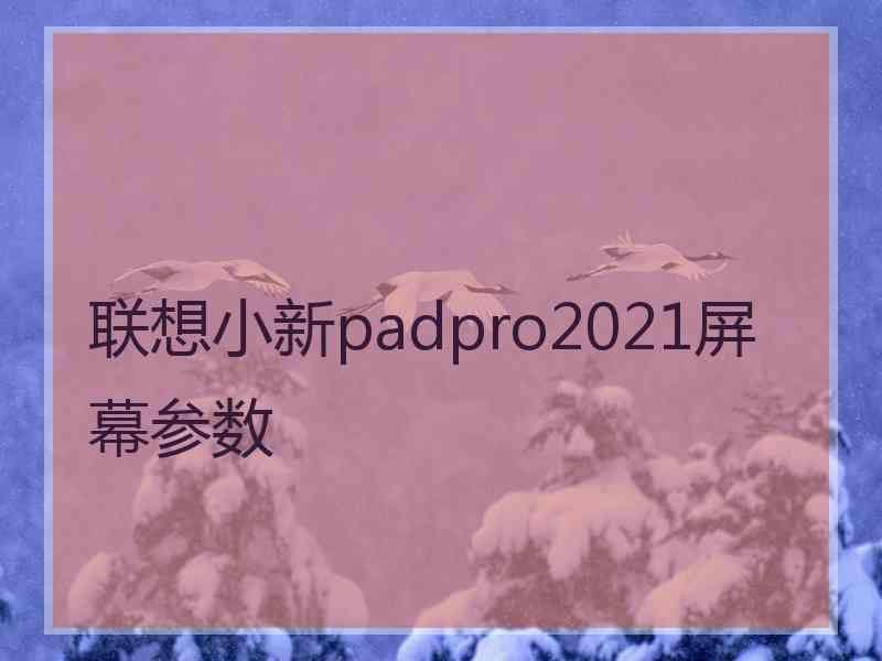 联想小新padpro2021屏幕参数