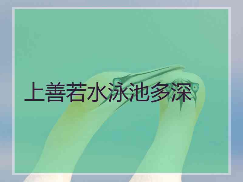 上善若水泳池多深