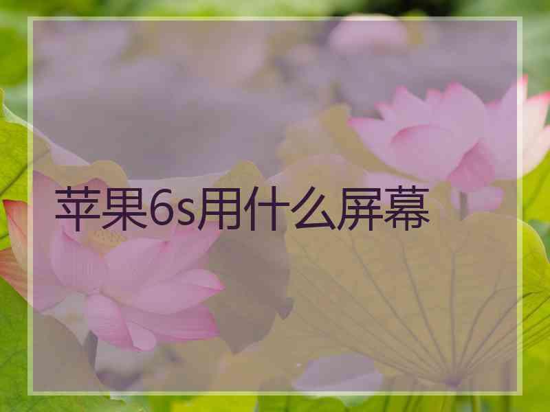 苹果6s用什么屏幕