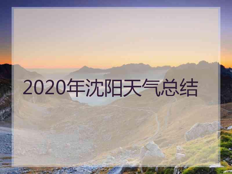 2020年沈阳天气总结
