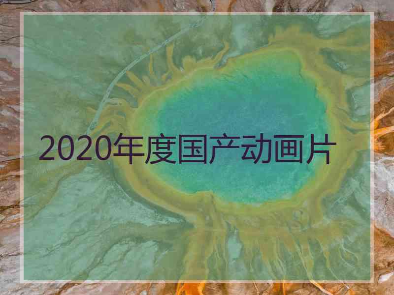 2020年度国产动画片