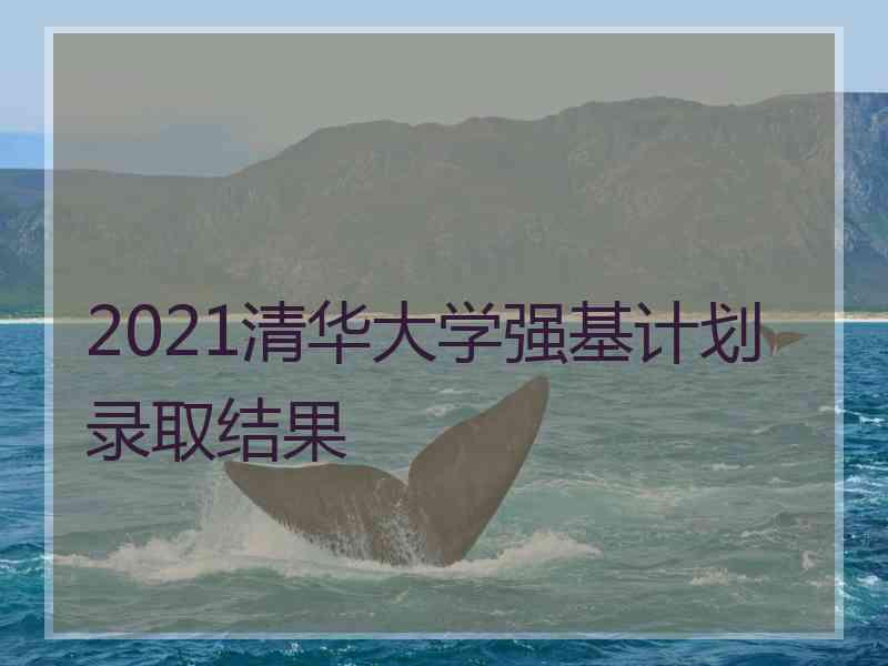 2021清华大学强基计划录取结果