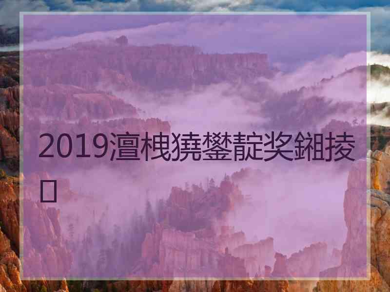 2019澶栧獟鐢靛奖鎺掕