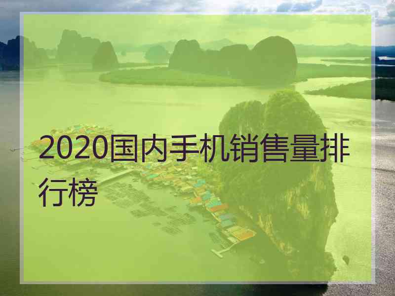 2020国内手机销售量排行榜