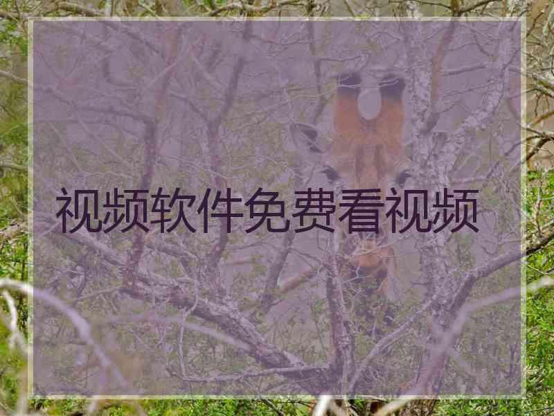视频软件免费看视频