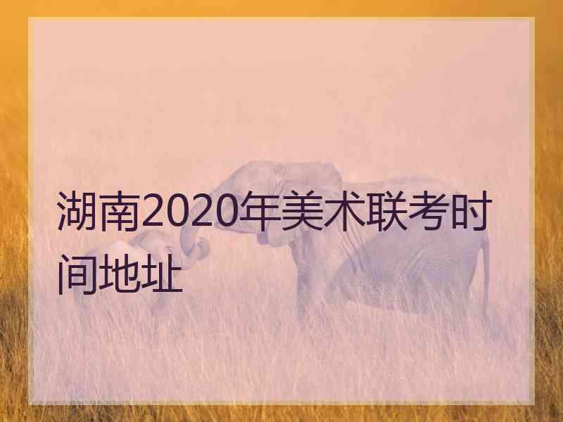 湖南2020年美术联考时间地址
